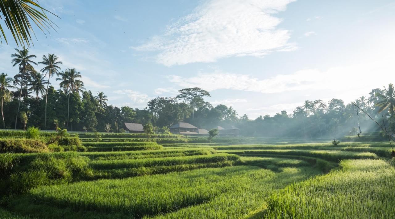 Benisari Batik Garden Cottage Ubud Buitenkant foto