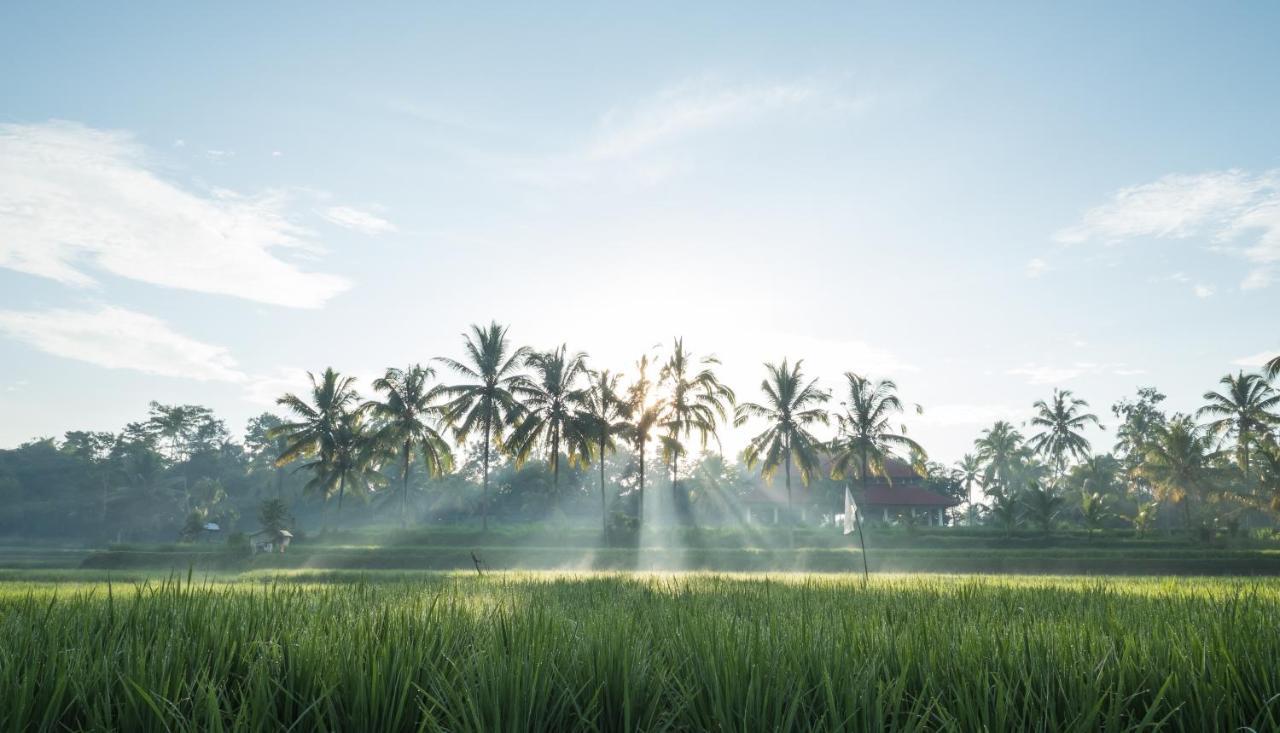 Benisari Batik Garden Cottage Ubud Buitenkant foto